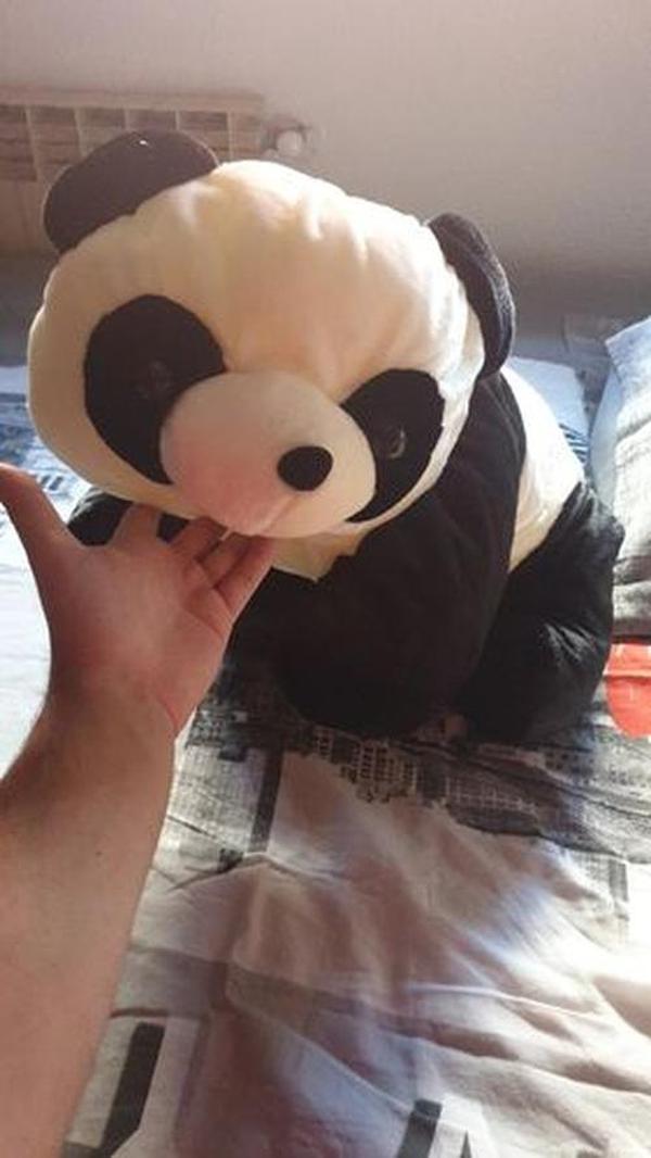 Cute Giant Panda Stuffed Animal Pillow – Soft Plush Doll Gift photo review