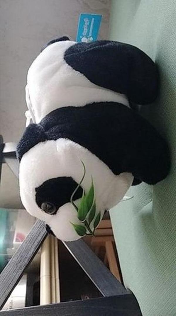 Cute Giant Panda Stuffed Animal Pillow – Soft Plush Doll Gift photo review