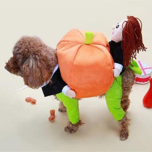 Halloween Pet Pumpkin Costume