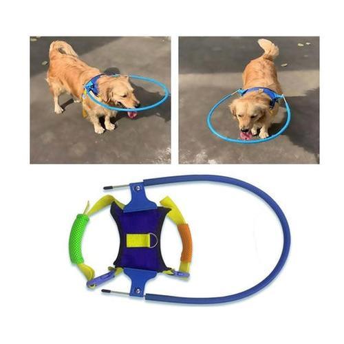 Halo Harness for Blind Dogs with Cataract - Anti-Collision Protection