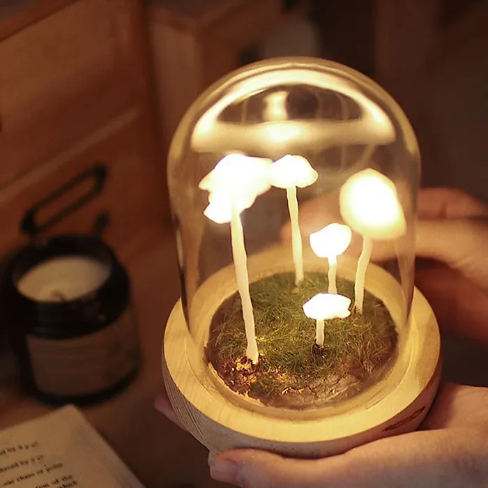 DIY Mushroom LED Night Light Kit with Glass Dome