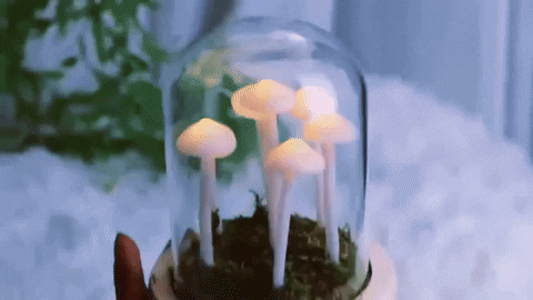 DIY Mushroom LED Night Light Kit with Glass Dome