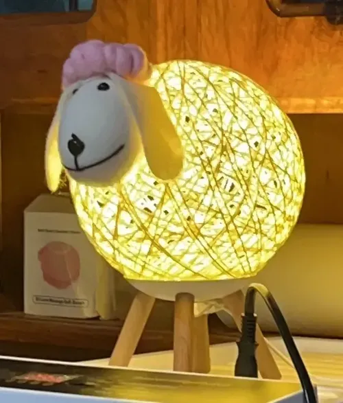 Handmade Kawaii Animal LED Night Light with Remote photo review