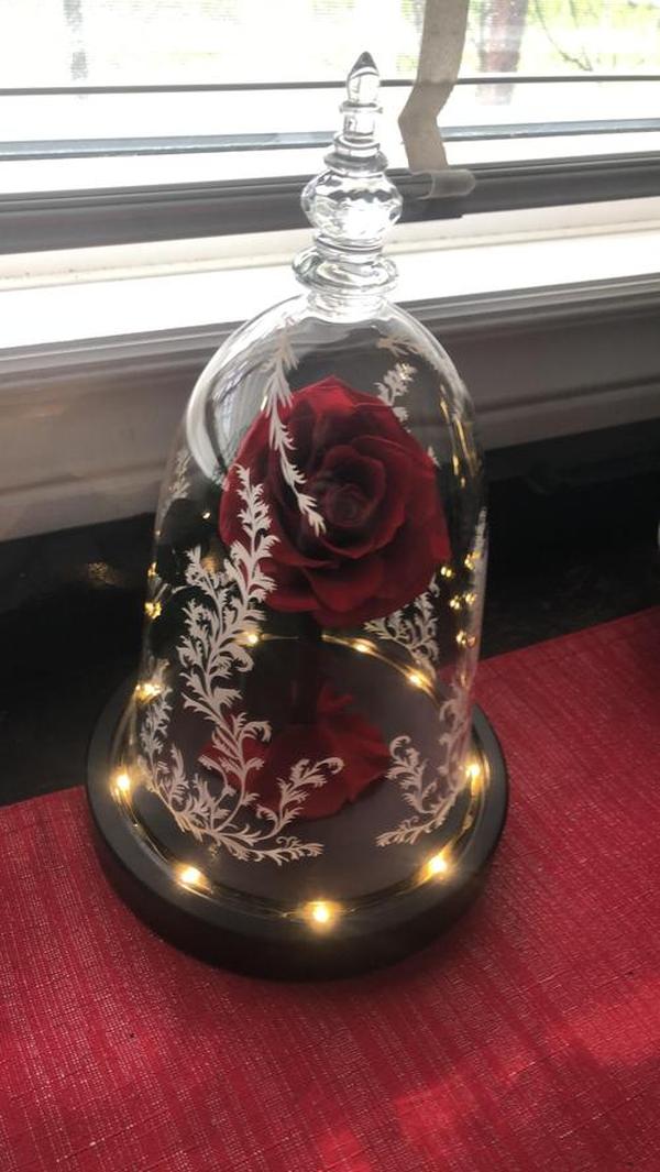 Immortal Enchanted Bell Rose Led Glass Display photo review