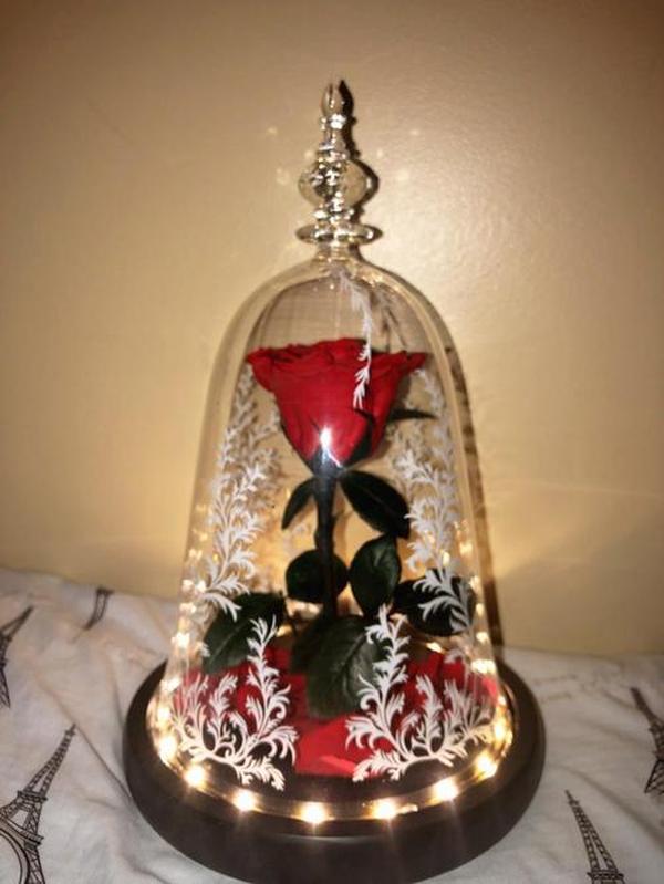 Immortal Enchanted Bell Rose Led Glass Display photo review