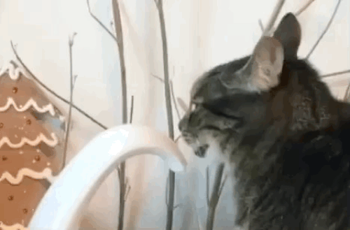 Intelligent Cat Drinking Water Fountain Automatic Circulating Water Dispenser