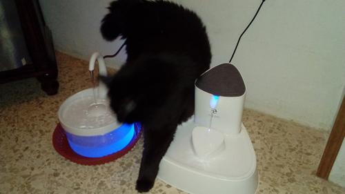 Intelligent Cat Drinking Water Fountain Automatic Circulating Water Dispenser photo review