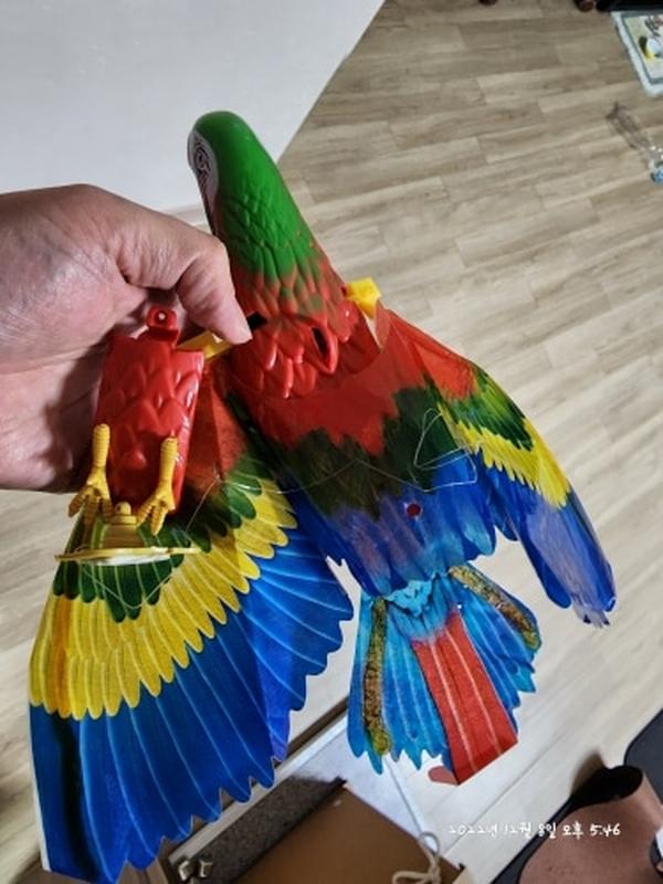 Interactive Bird Cat Toys for Pet photo review