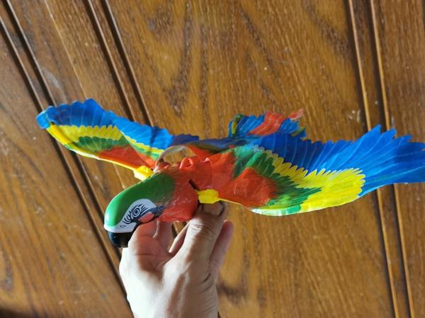 Interactive Bird Cat Toys for Pet photo review