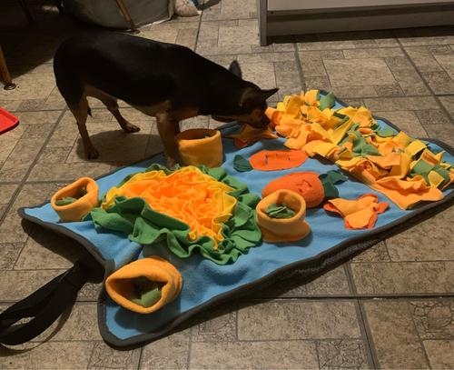 Interactive Dog Mat for Training, Stress Relief, and Slow Feeding photo review