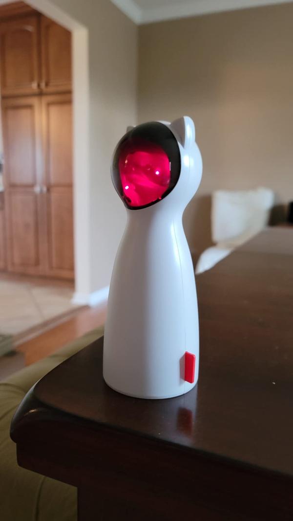 Invigorating Cat Laser Toy photo review