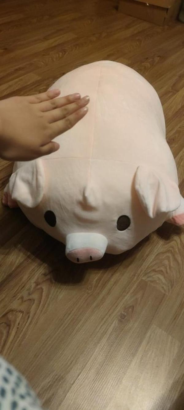 Kawaii Piggy Plush, Fashion Plump Pig Doll Plush Toy photo review