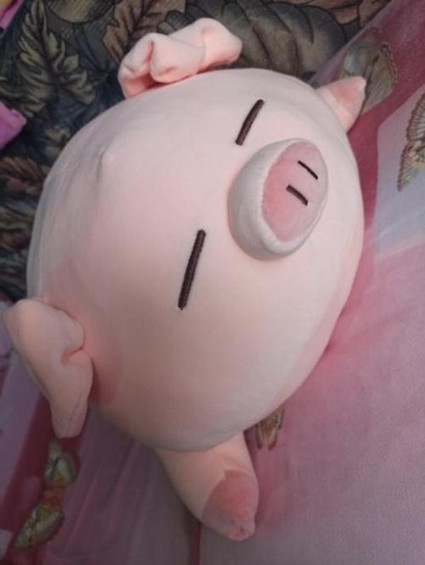 Kawaii Piggy Plush, Fashion Plump Pig Doll Plush Toy photo review