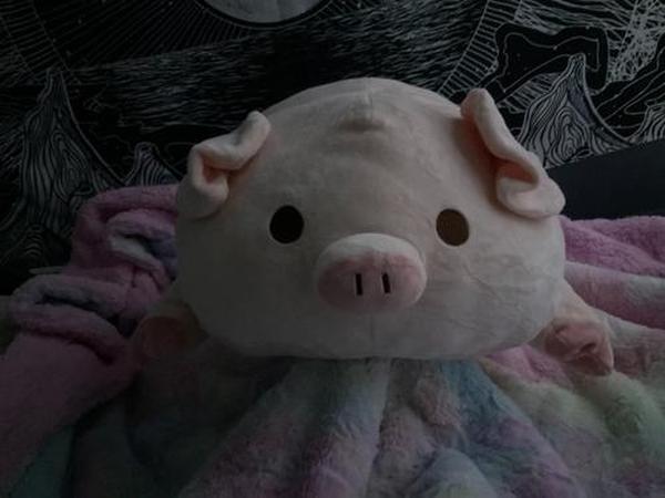 Kawaii Piggy Plush, Fashion Plump Pig Doll Plush Toy photo review