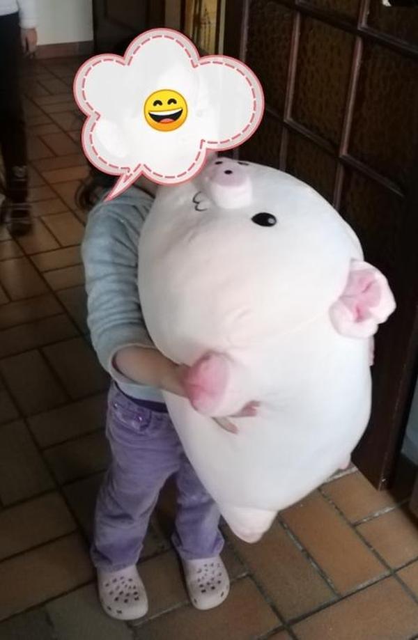 Kawaii Piggy Plush, Fashion Plump Pig Doll Plush Toy photo review