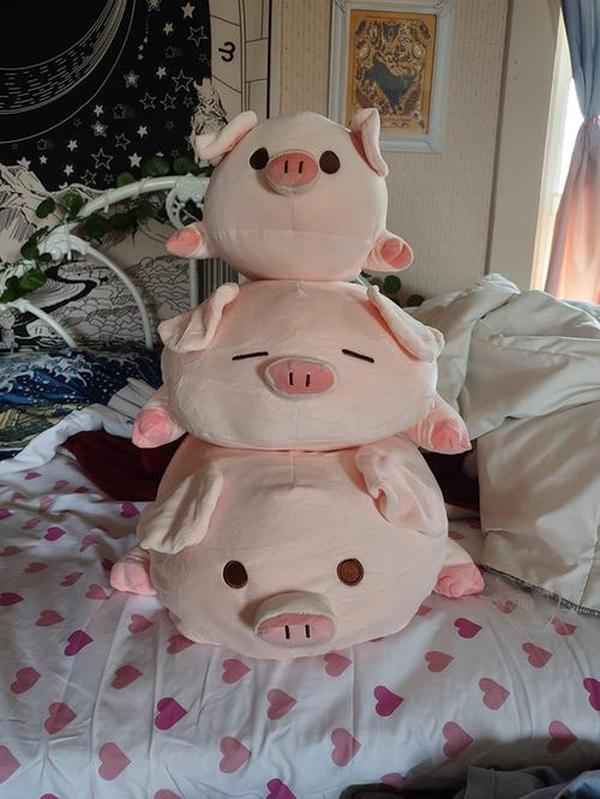 Kawaii Piggy Plush, Fashion Plump Pig Doll Plush Toy photo review