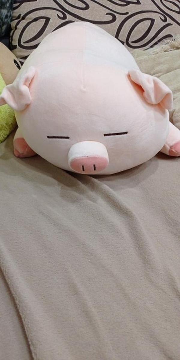 Kawaii Piggy Plush, Fashion Plump Pig Doll Plush Toy photo review