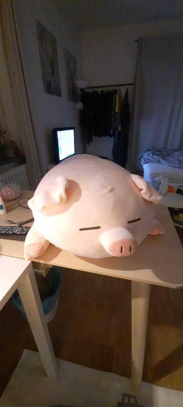 Kawaii Piggy Plush, Fashion Plump Pig Doll Plush Toy photo review