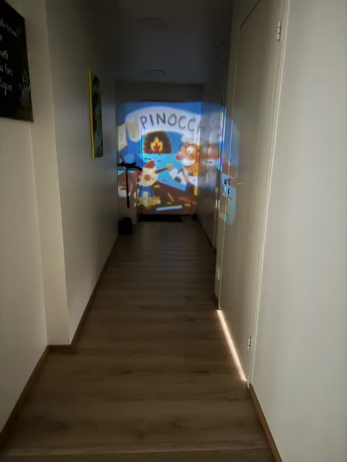 Kids Story Projection Torch with Night Light and Zoom Lens photo review