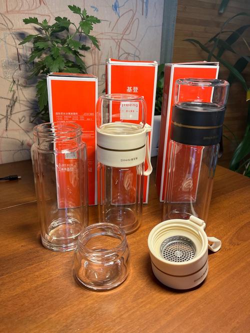 Leak-proof Glass Water Bottle Water With Tea Filter photo review