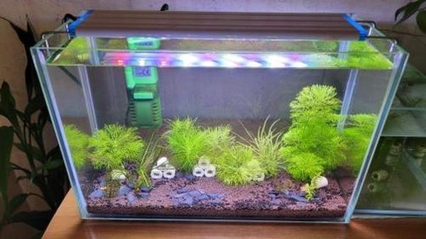 Led Aquarium Fish Tank Light photo review