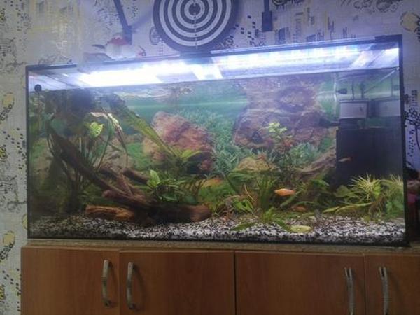 Led Aquarium Fish Tank Light photo review