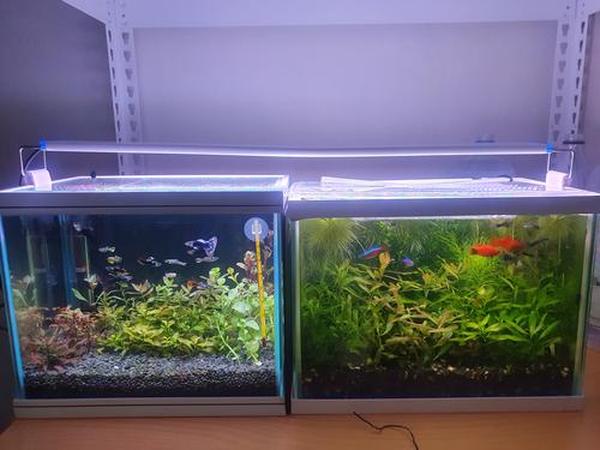 Led Aquarium Fish Tank Light photo review