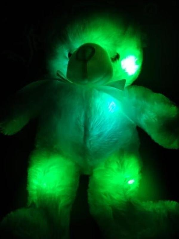 LED Teddy Bear photo review