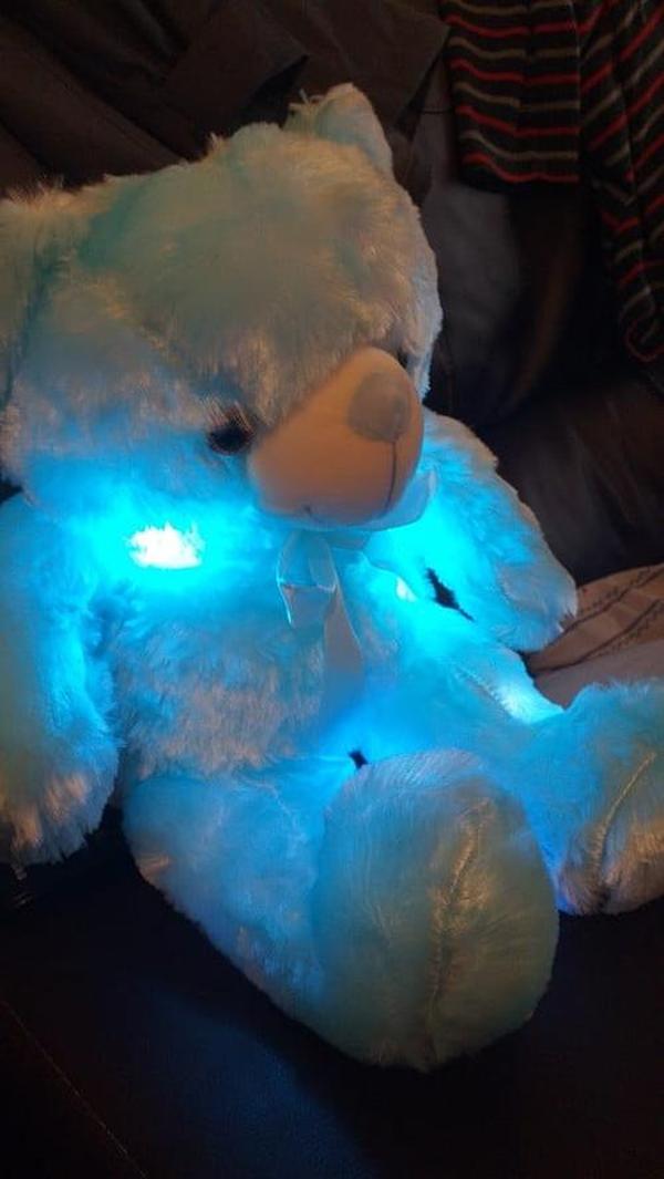 LED Teddy Bear photo review