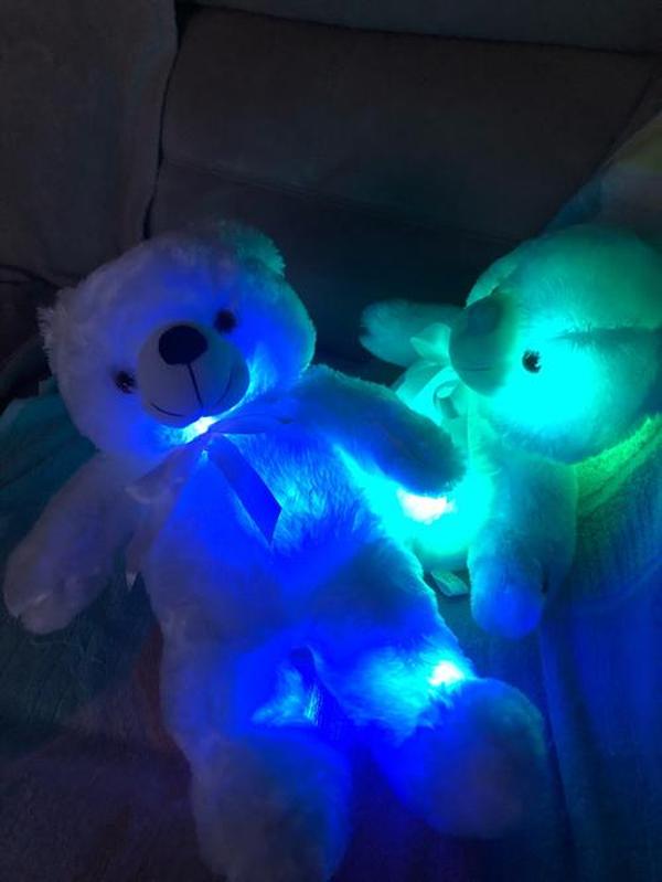 LED Teddy Bear photo review