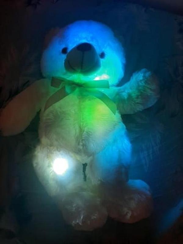 LED Teddy Bear photo review