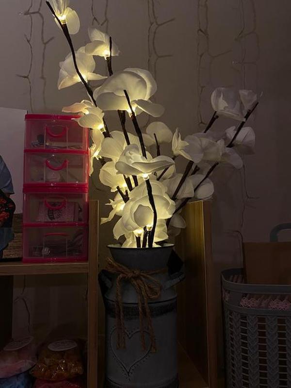 Led Willow Branch Lamp For Decoration photo review