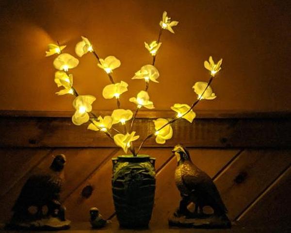 Led Willow Branch Lamp For Decoration photo review