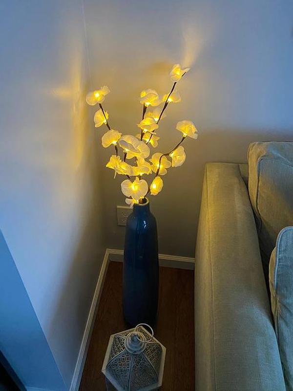 Led Willow Branch Lamp For Decoration photo review