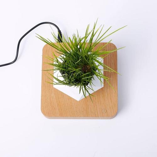 Magnetic Levitating Pot Floating Plant Pot