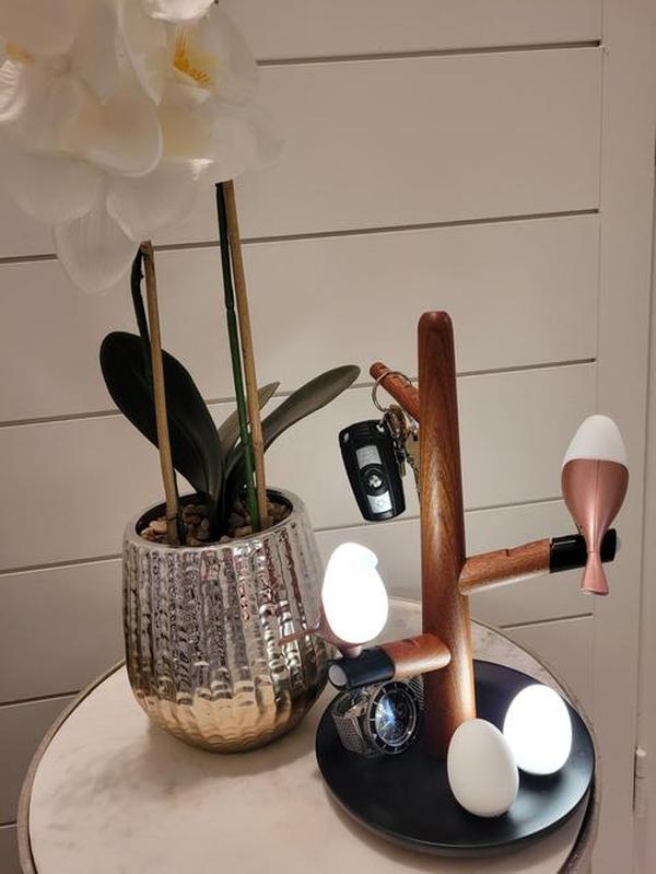 Magnetic Levitation Atmosphere Light with Wireless Charging - Bird's Lamp photo review