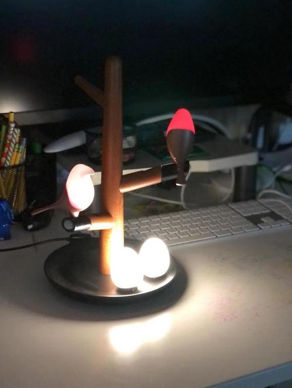 Magnetic Levitation Atmosphere Light with Wireless Charging - Bird's Lamp photo review