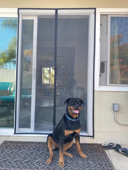 Magnetic Mesh Insect Screen Door - Your Ultimate Guard To Insects This Summer! photo review