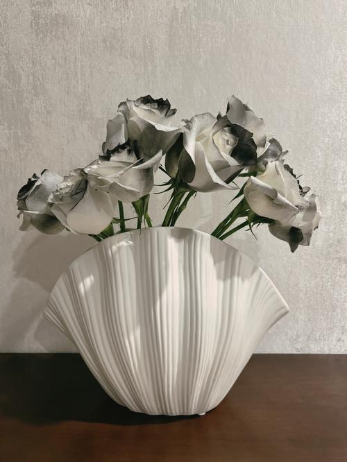 Modern Ceramic Shell Vase Set for Home Decor photo review