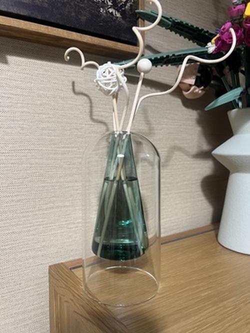 Modern Double Glass Vase for Home Decor, Wedding, and Hydroponic Plant photo review