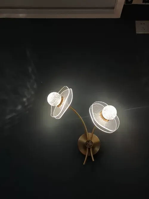 Modern Personalized Lotus Leaf Garden Wall Lamp for Bedroom, Living Room, Staircase, Corridor, Kitchen photo review