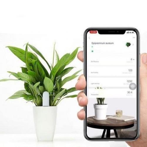 Moisture Meter For Plants - Smart Soil Moisture Sensor