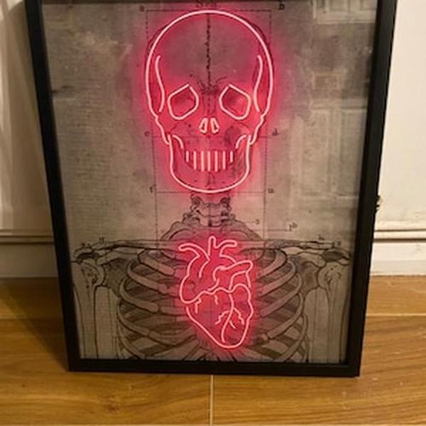 Neon Skeleton Vintage Diagram Art Print - Medical Poster photo review