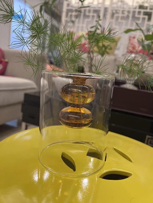 Nordic Creative Hydroponic Glass Vase for Home Decor photo review