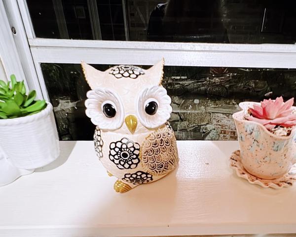 Nordic Cute Owl Resin Sculpture Figurine for Home Decor photo review