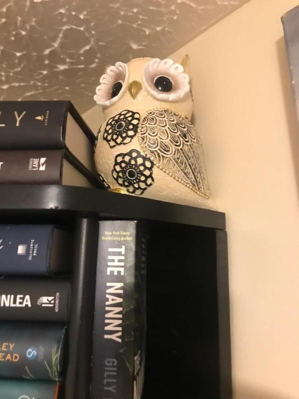 Nordic Cute Owl Resin Sculpture Figurine for Home Decor photo review