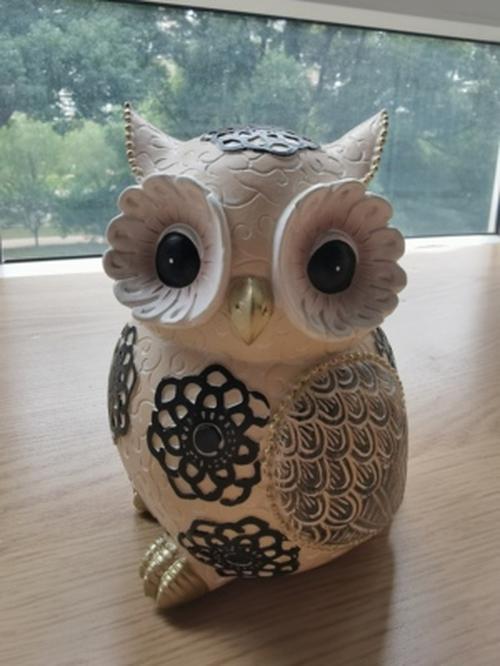 Nordic Cute Owl Resin Sculpture Figurine for Home Decor photo review