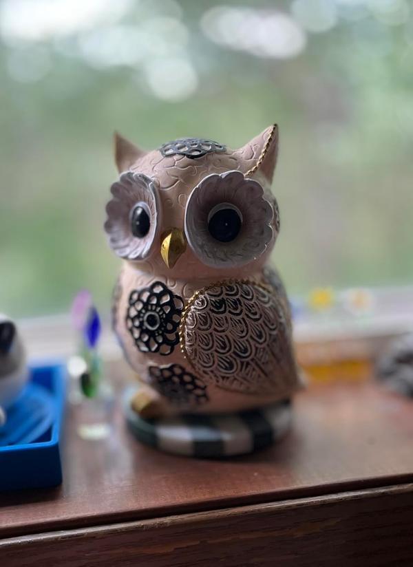 Nordic Cute Owl Resin Sculpture Figurine for Home Decor photo review