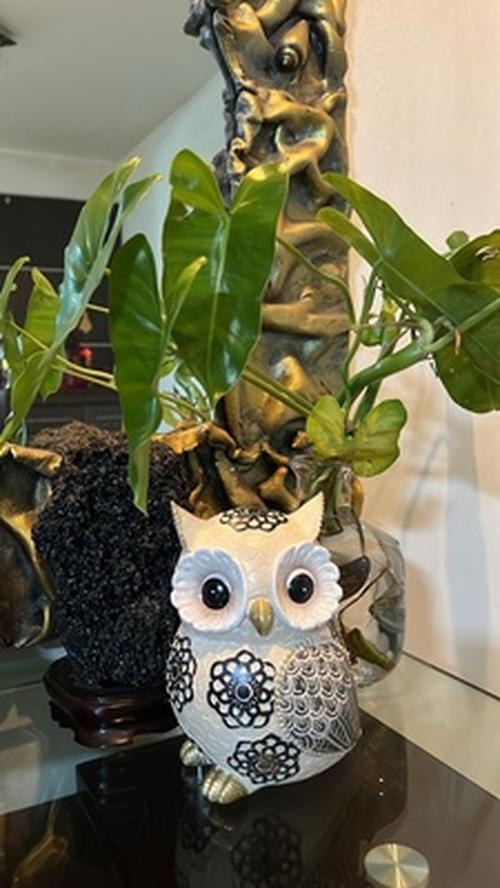 Nordic Cute Owl Resin Sculpture Figurine for Home Decor photo review