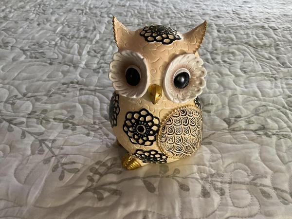 Nordic Cute Owl Resin Sculpture Figurine for Home Decor photo review